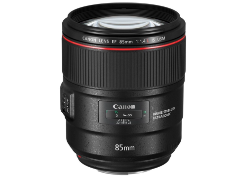 Canon EF 85mm f/1.4L IS USM.Picture2